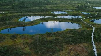 Bog Walking & Nature Trails