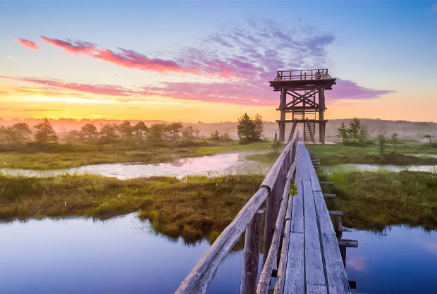 Bog-Walking-&-Nature-Trails-estonia