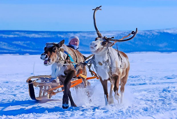 pexels-84328701-8932553