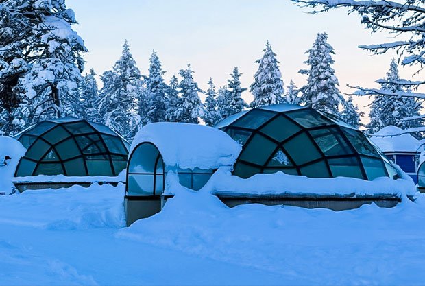 pexels-maxzaharenkov-33854660